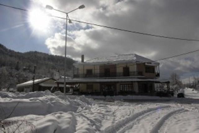 Villa Rosa Antartiko Dış mekan fotoğraf